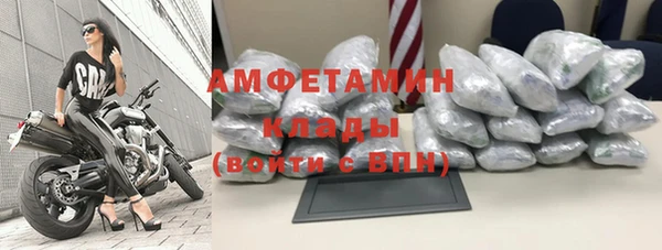 стафф Карпинск