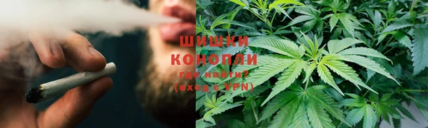 стафф Карпинск