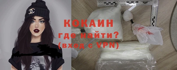 стафф Карпинск