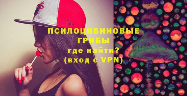 стафф Карпинск